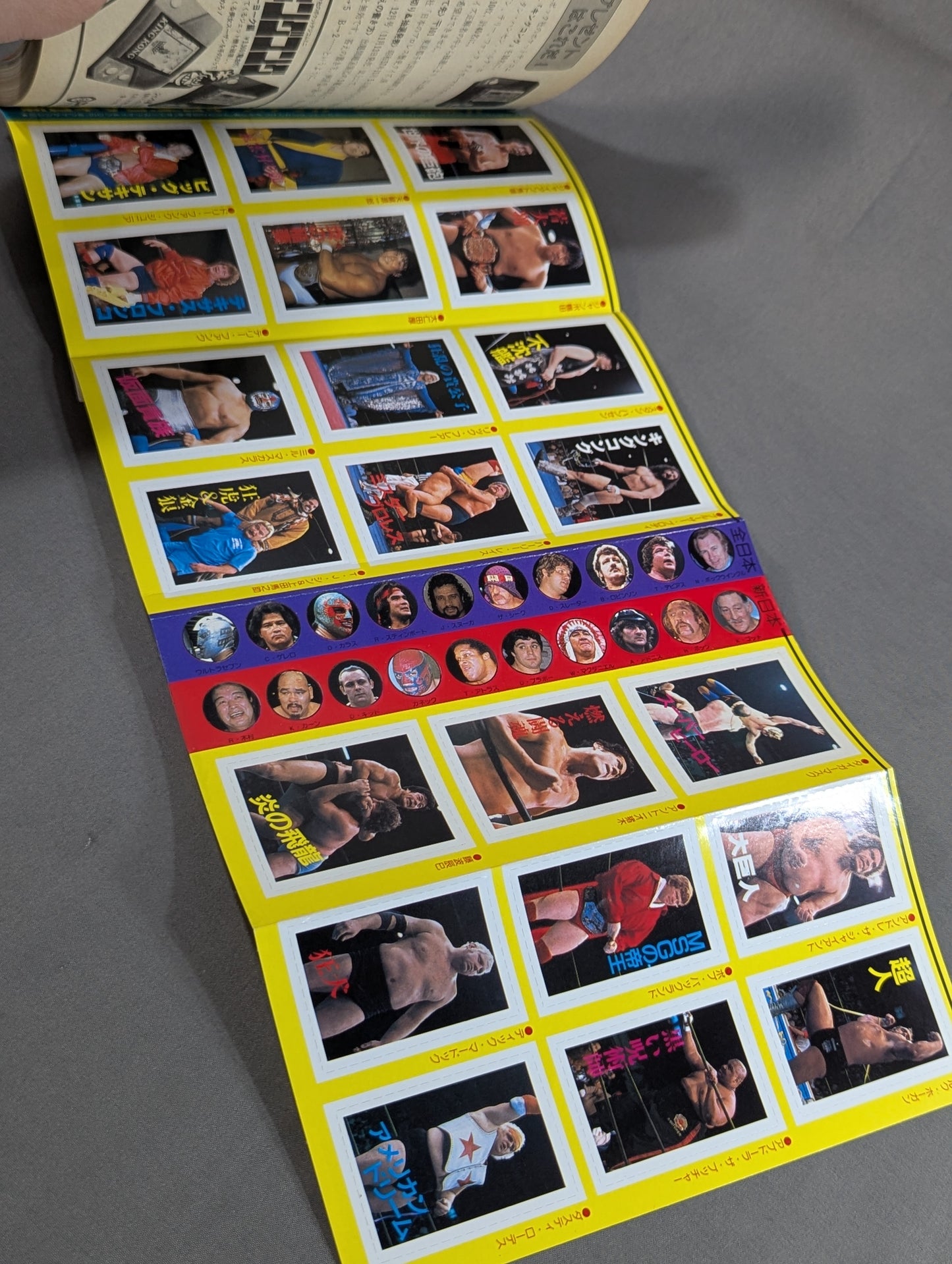 Pro Wrestling All Guidebook(3) Pro Wrestler Warrior of radical romance