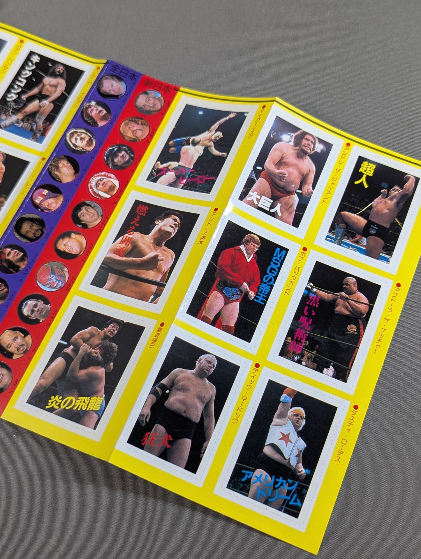 Pro Wrestling All Guidebook(3) Pro Wrestler Warrior of radical romance