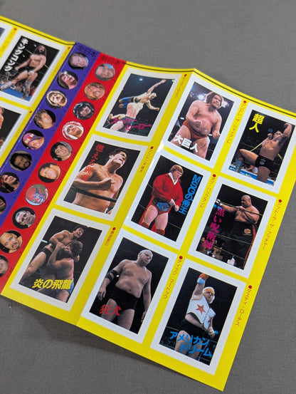 Pro Wrestling All Guidebook(3) Pro Wrestler Warrior of radical romance
