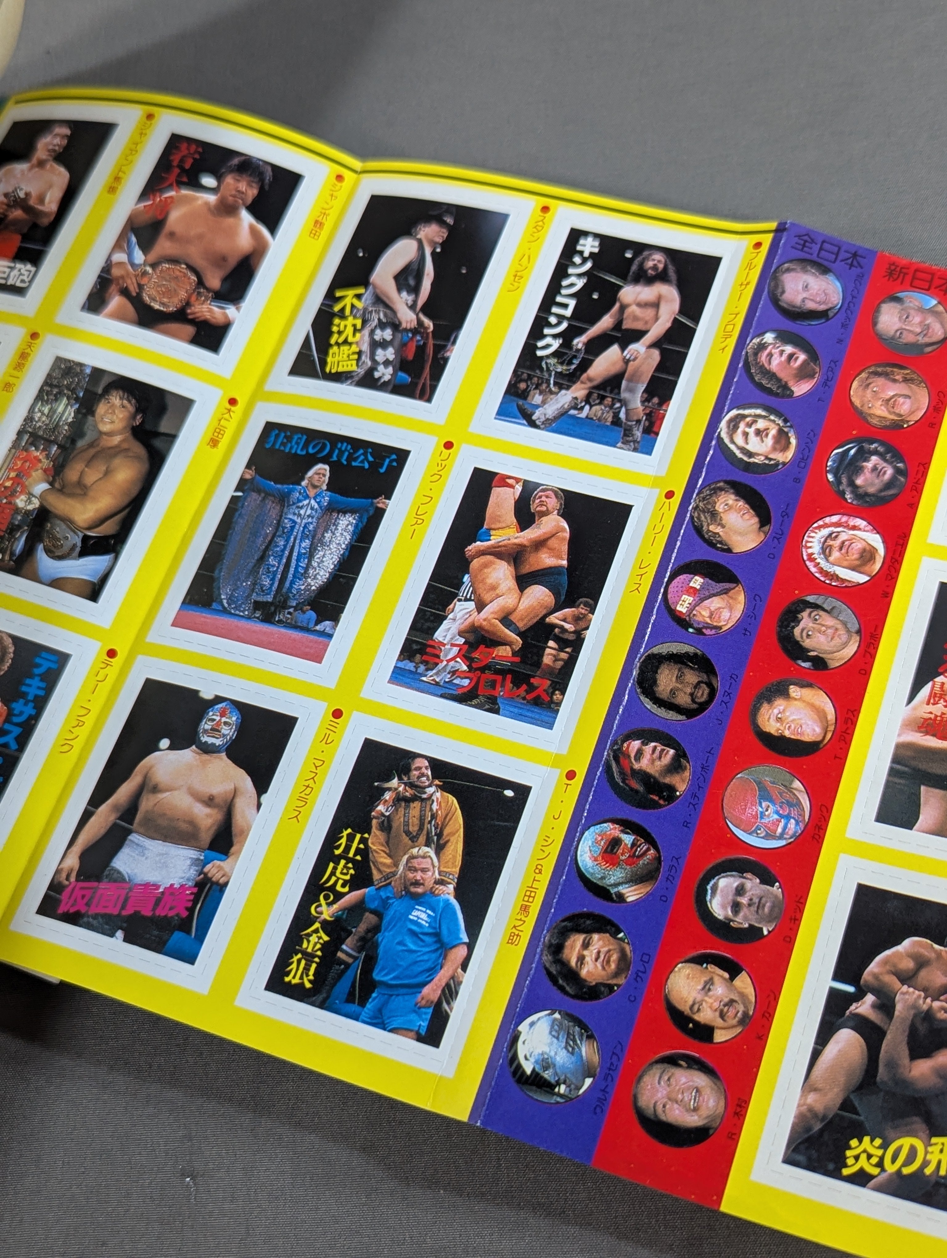 プロレス・オールガイドブック③ プロレスラー過激なるロマンの戦士