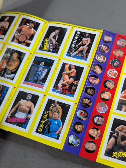 Pro Wrestling All Guidebook(3) Pro Wrestler Warrior of radical romance
