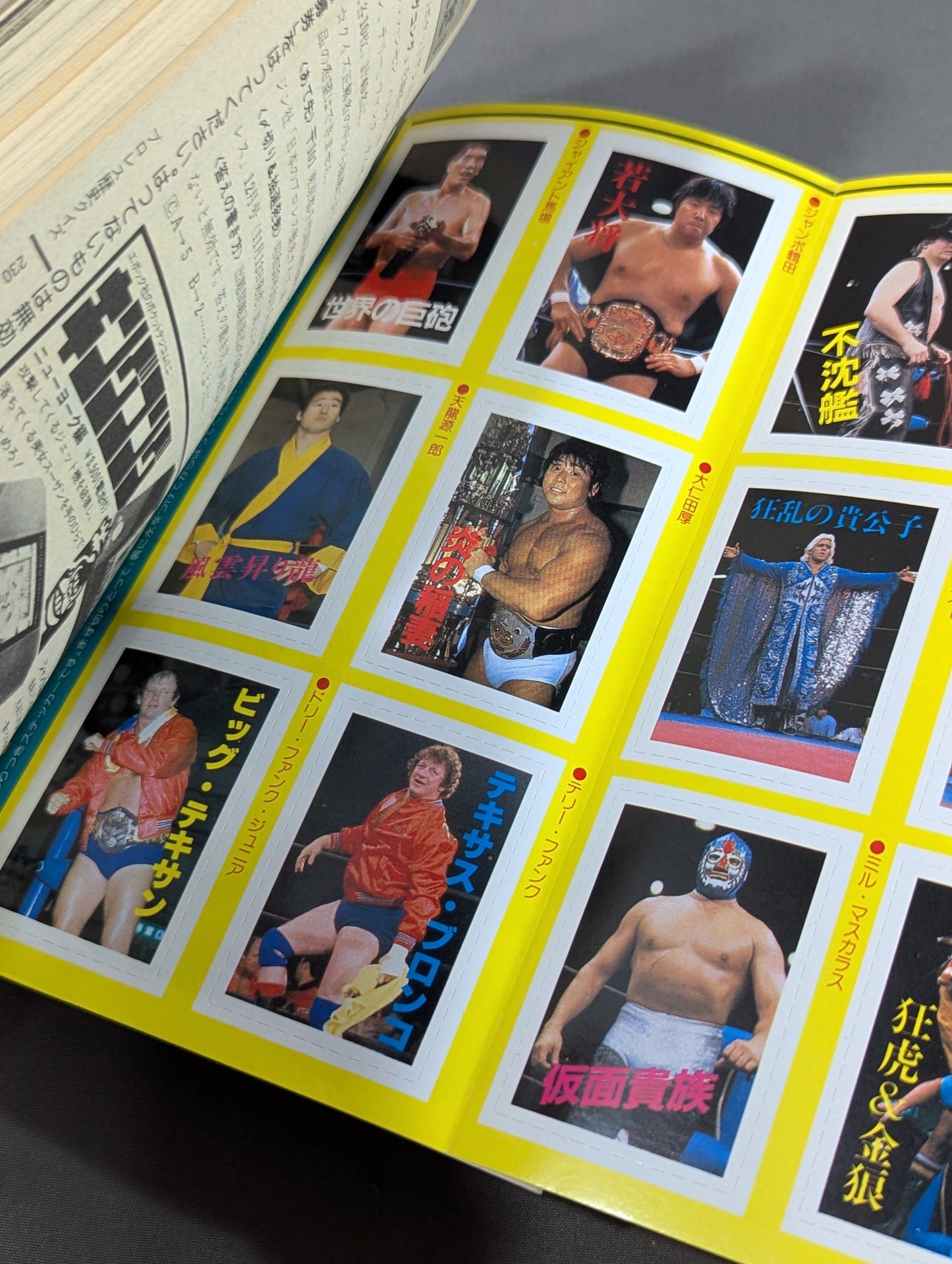 Pro Wrestling All Guidebook(3) Pro Wrestler Warrior of radical romance