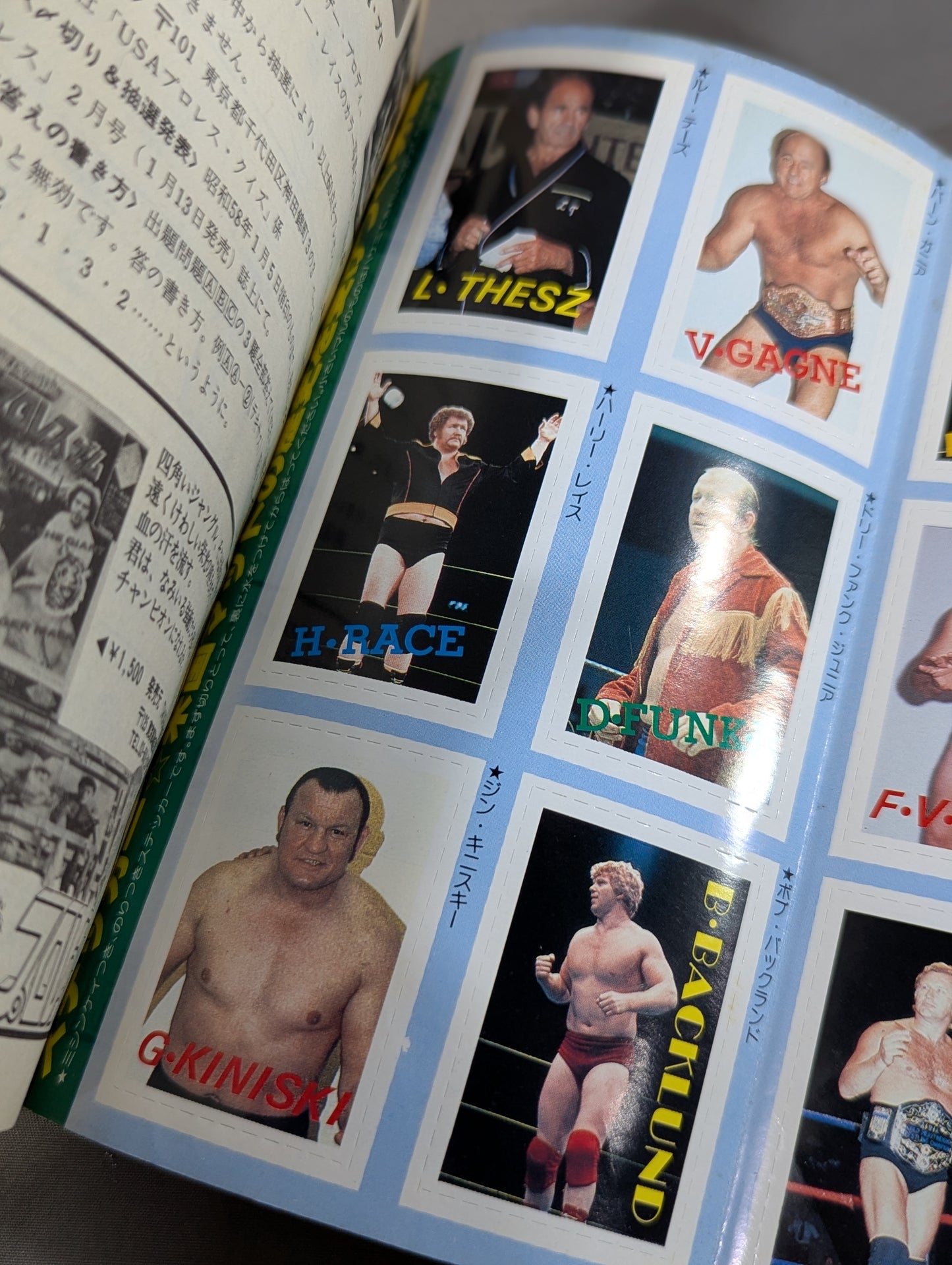 プロレス・オールガイドブック④ プロレスリングUSAザ・ベスト