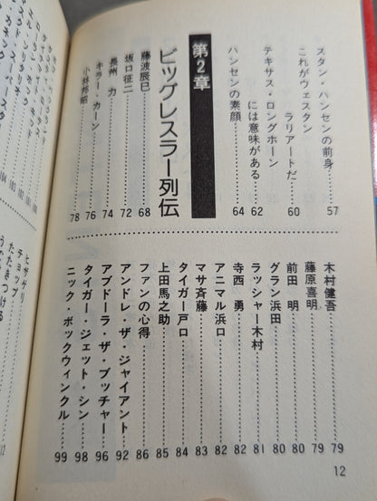 スーパープロレス エキサイティングにプロレスを楽しむすべて