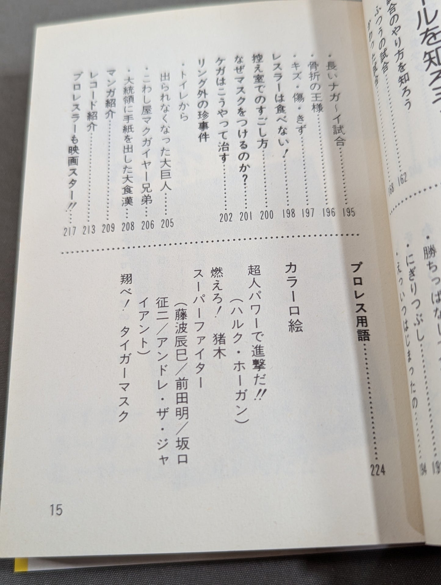 スーパープロレス エキサイティングにプロレスを楽しむすべて