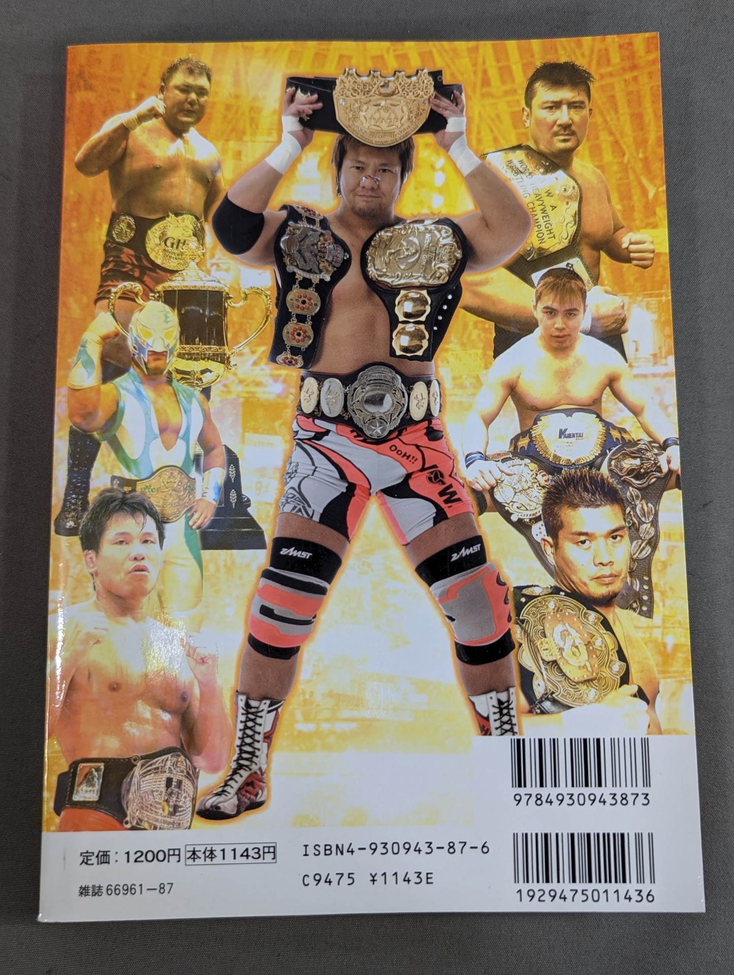 2005 Gong Pro Wrestling  Color Directory