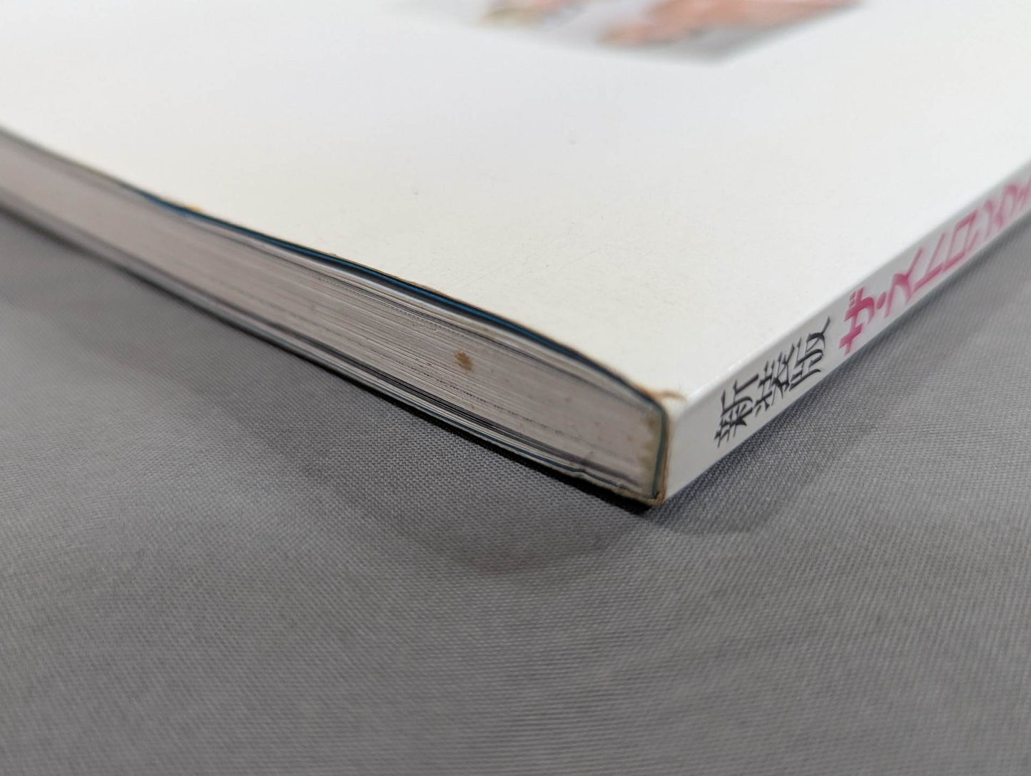 New edition The Strong Style: The World's Strongest Pro Wrestling Technique