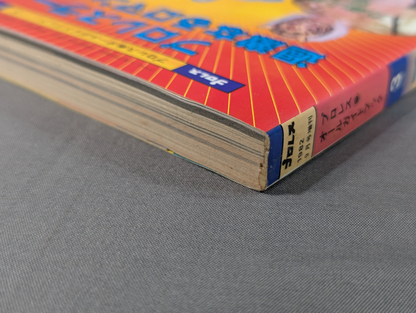 Pro Wrestling All Guidebook(3) Pro Wrestler Warrior of radical romance
