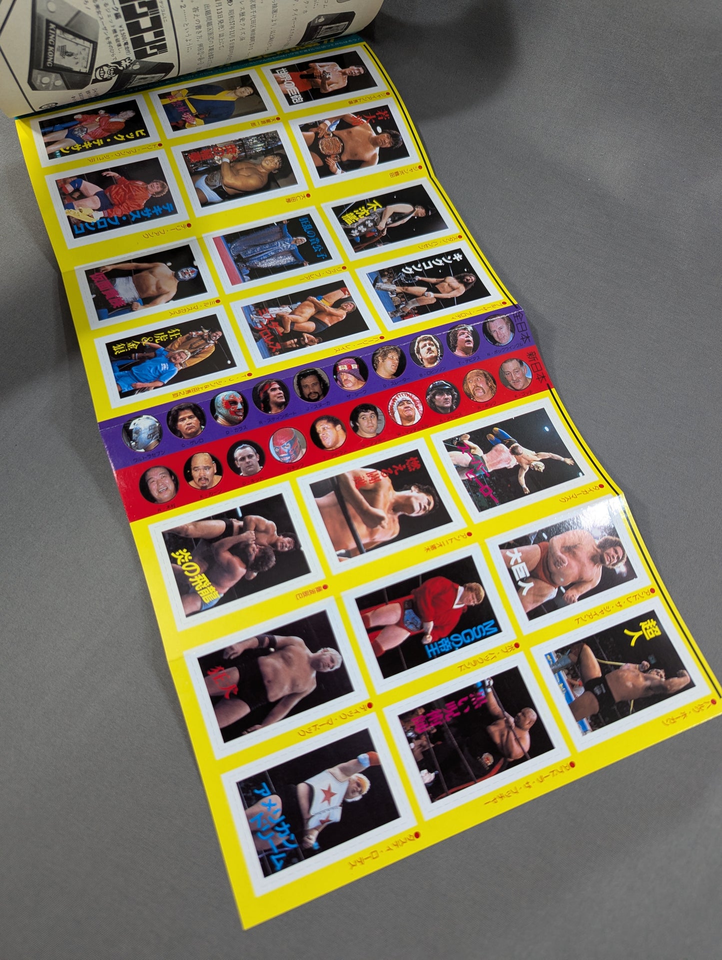 Pro Wrestling All Guidebook(3) Pro Wrestler Warrior of radical romance