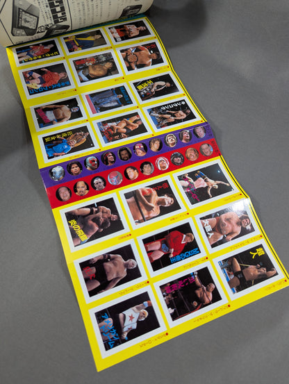 Pro Wrestling All Guidebook(3) Pro Wrestler Warrior of radical romance