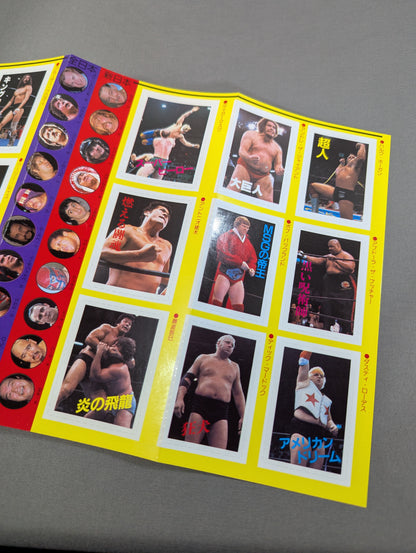 Pro Wrestling All Guidebook(3) Pro Wrestler Warrior of radical romance