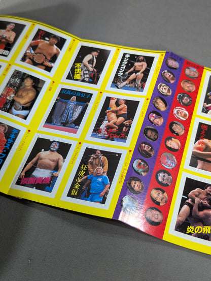 Pro Wrestling All Guidebook(3) Pro Wrestler Warrior of radical romance