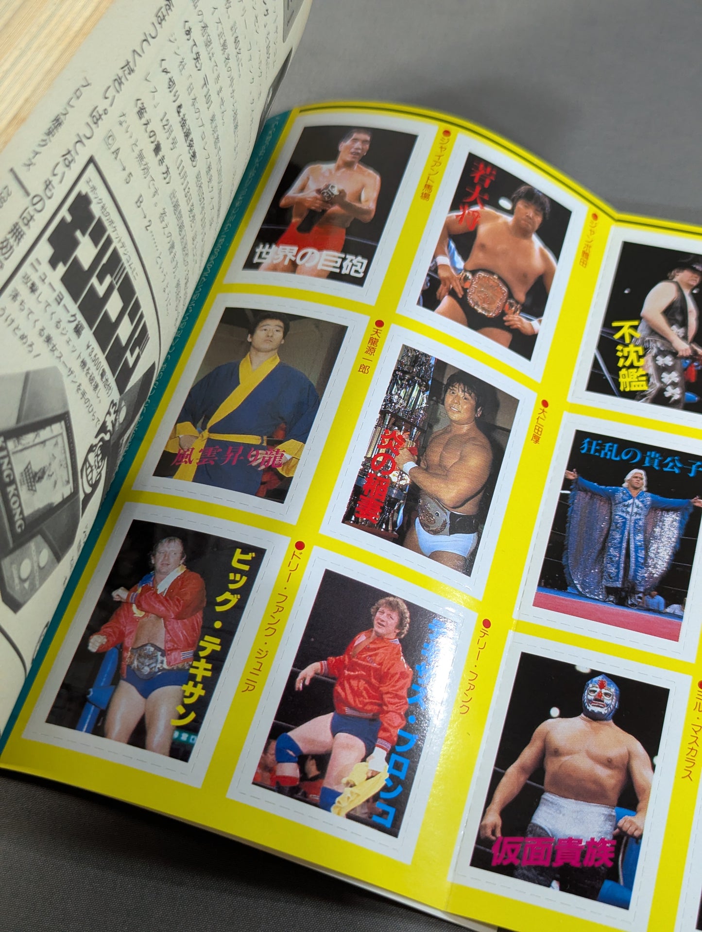 Pro Wrestling All Guidebook(3) Pro Wrestler Warrior of radical romance