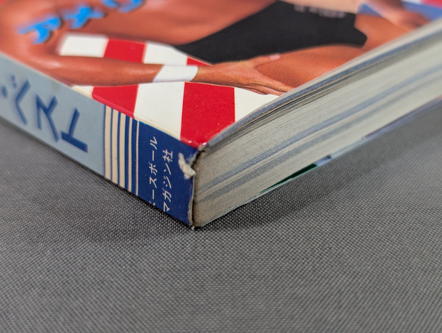 Pro Wrestling & All Guidebook(4) Pro-wrestling USA The Best