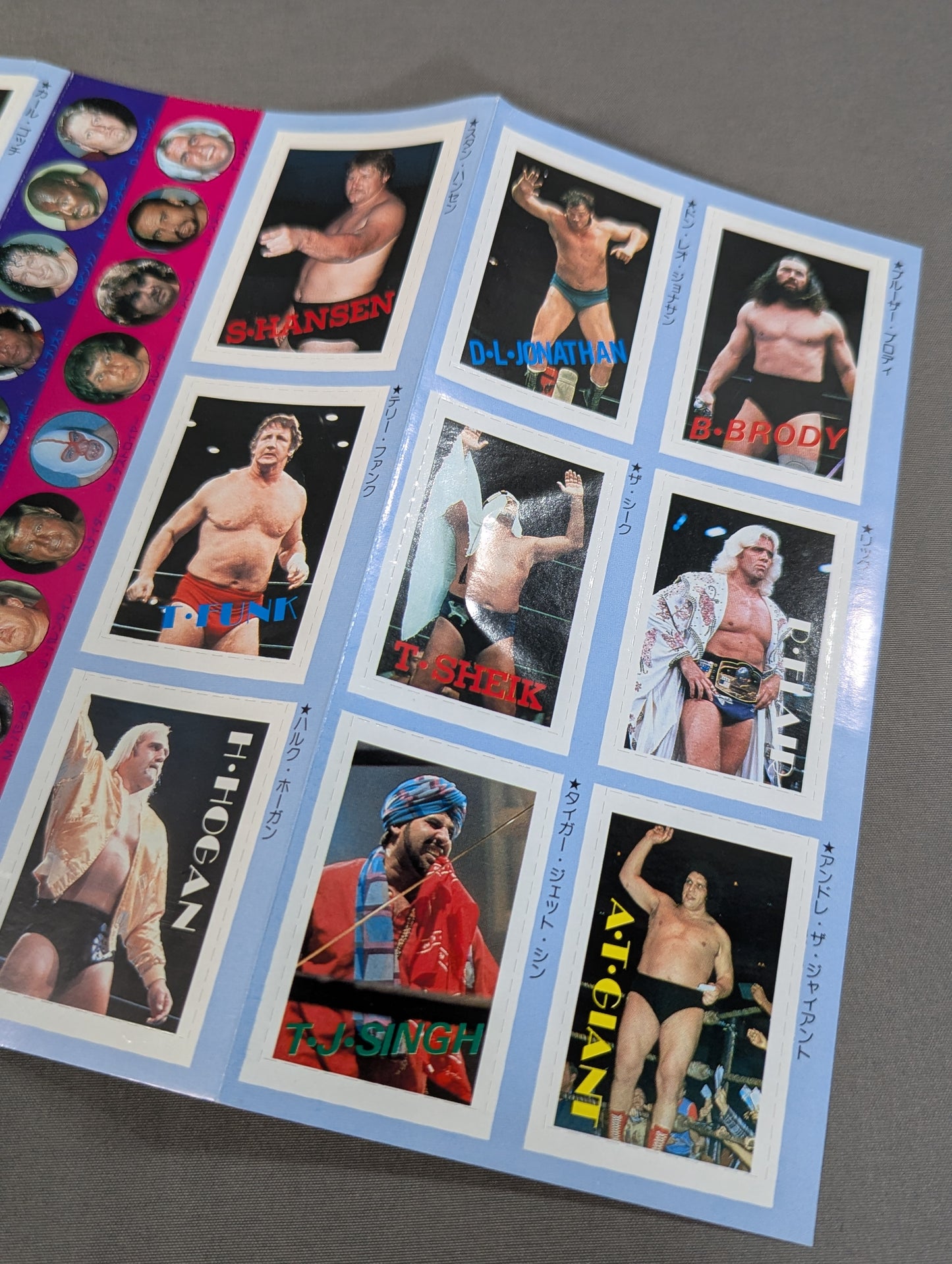 Pro Wrestling & All Guidebook(4) Pro-wrestling USA The Best