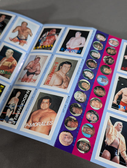 Pro Wrestling & All Guidebook(4) Pro-wrestling USA The Best