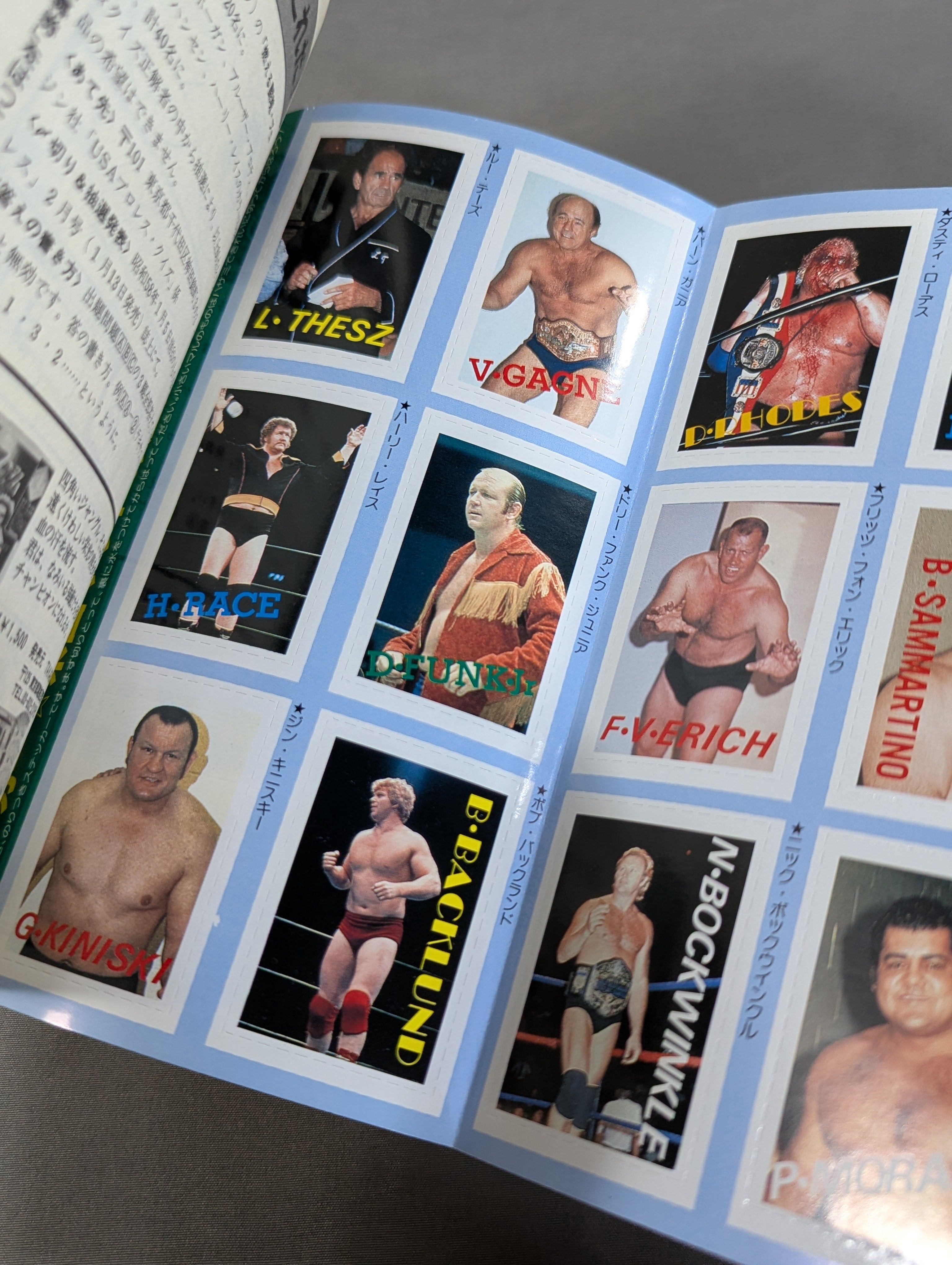 プロレスオールガイドブック全4巻 プロレス・オールガイドブック④ プロレスリングUSAザ・ベスト – 闘道館