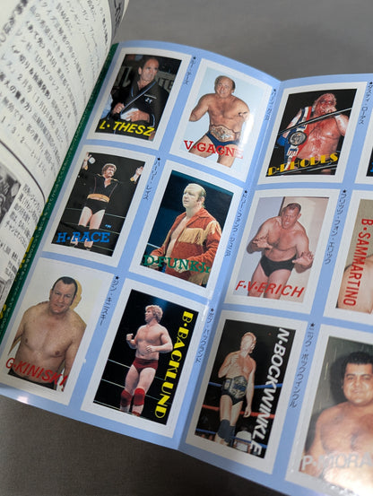 Pro Wrestling & All Guidebook(4) Pro-wrestling USA The Best