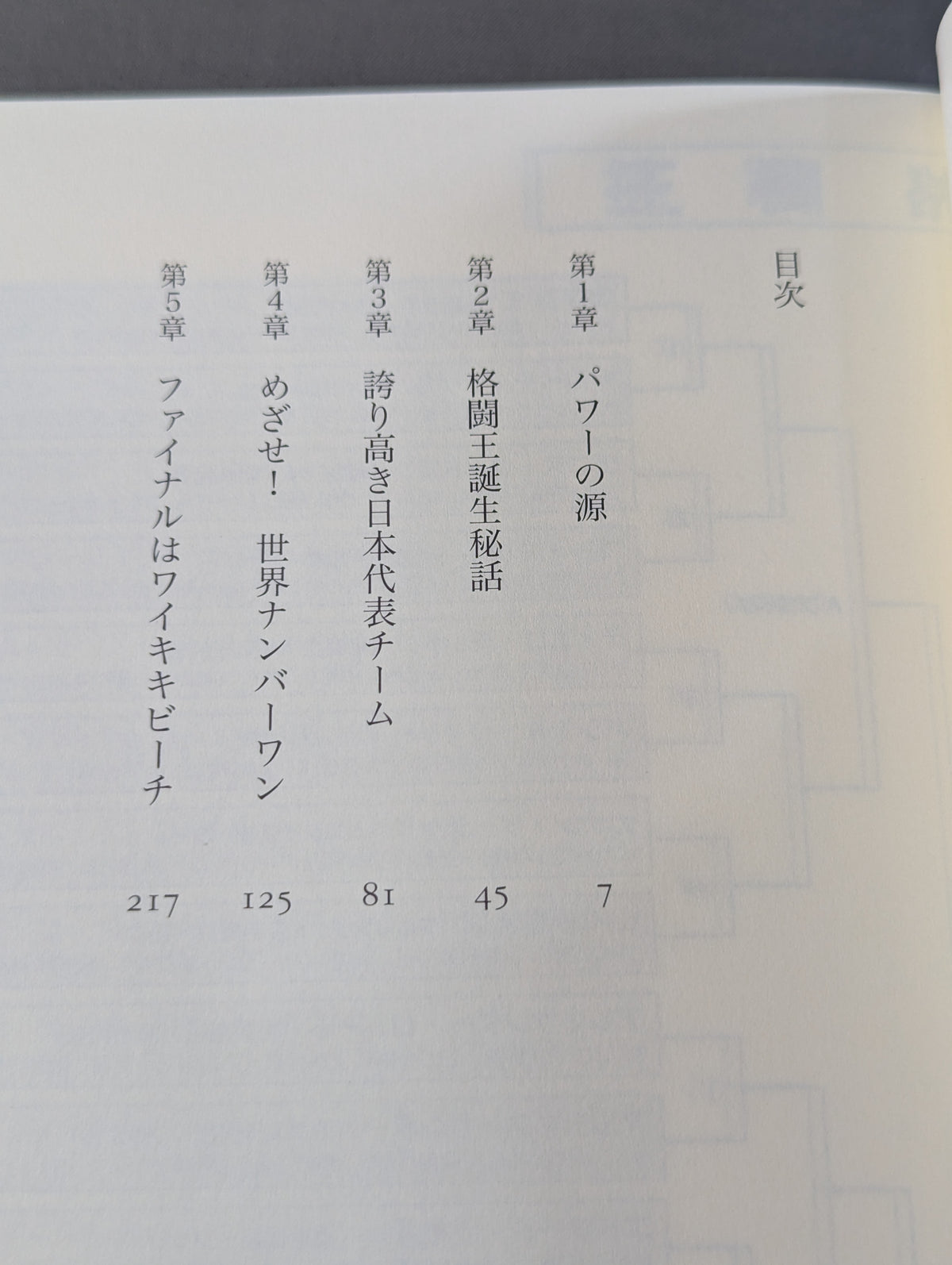 格闘王 ガチファイナル