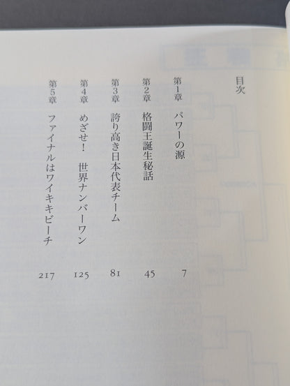 格闘王 ガチファイナル
