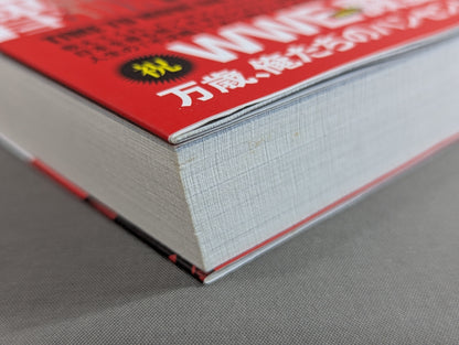日は、また昇る。 男の引き際と、闘うべきとき