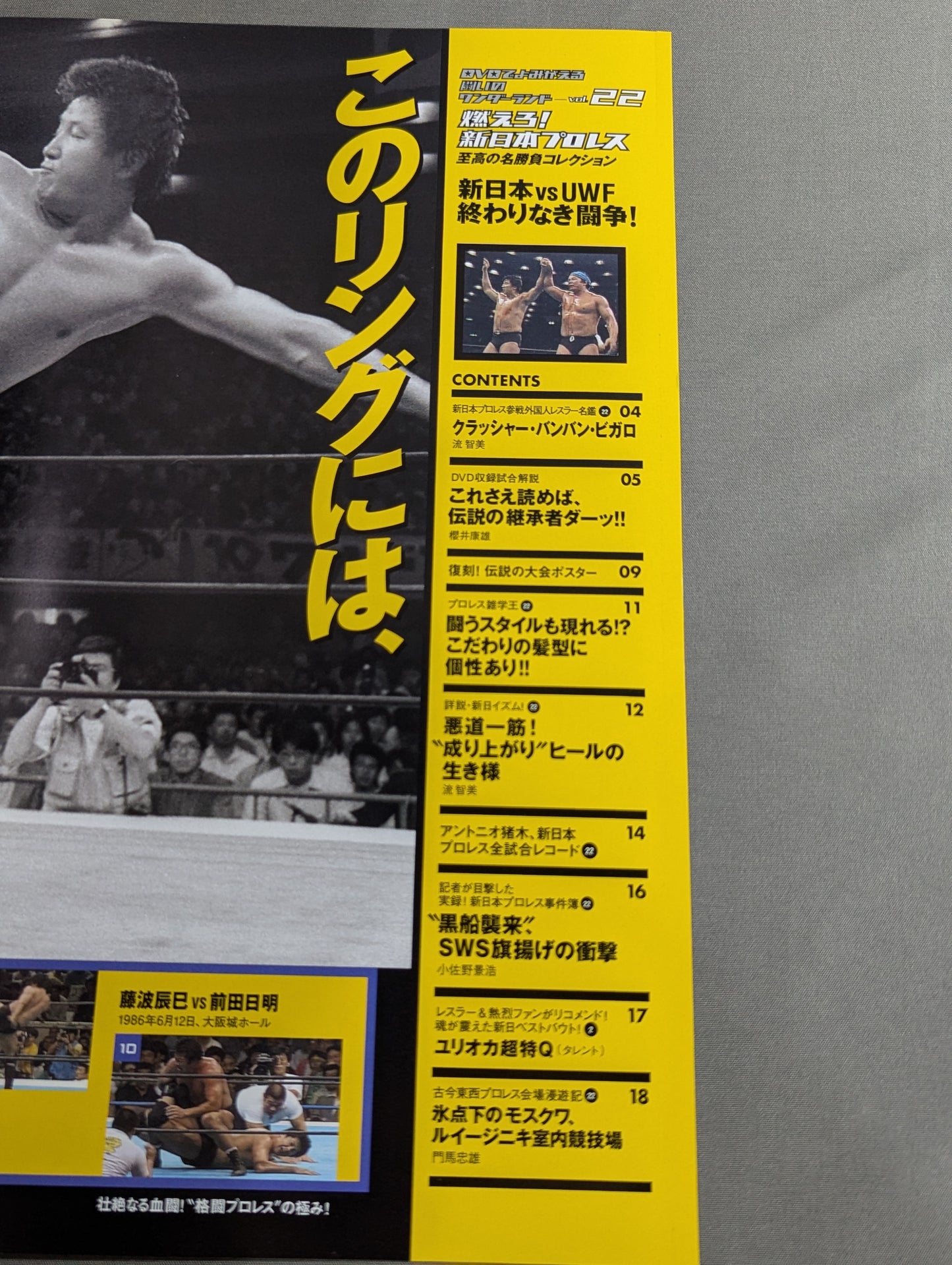 燃えろ!新日本プロレス vol.22
