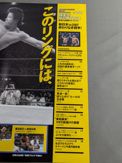 燃えろ!新日本プロレス vol.22