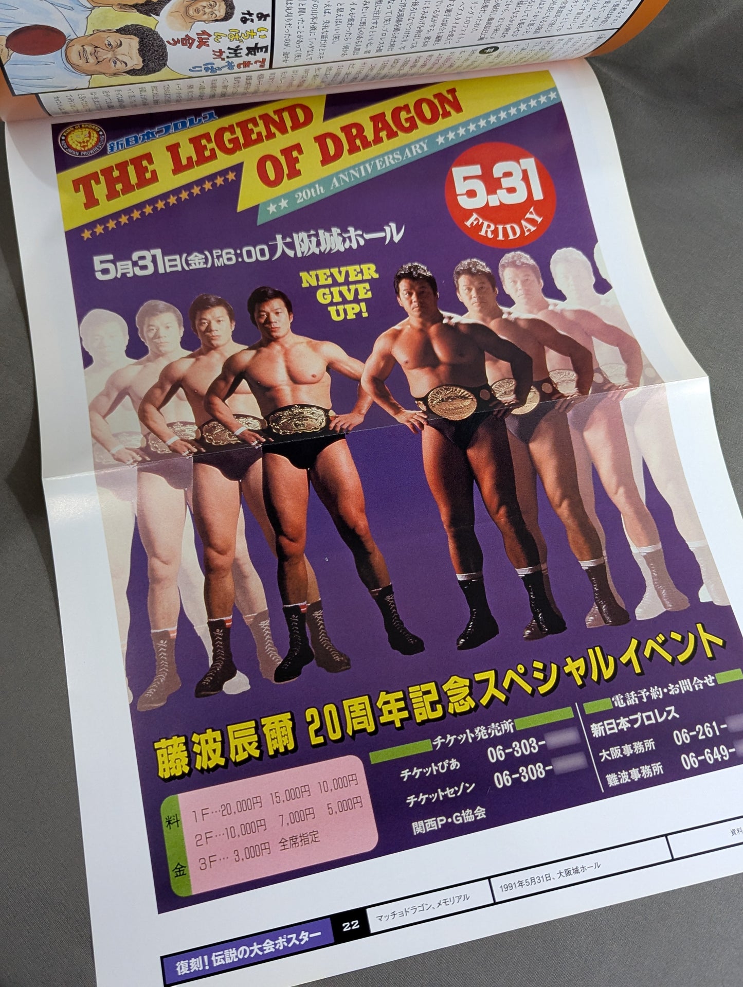 燃えろ!新日本プロレス vol.22