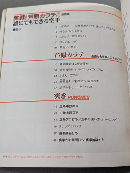 Combat! KARATE  Ashihara 3 Basics