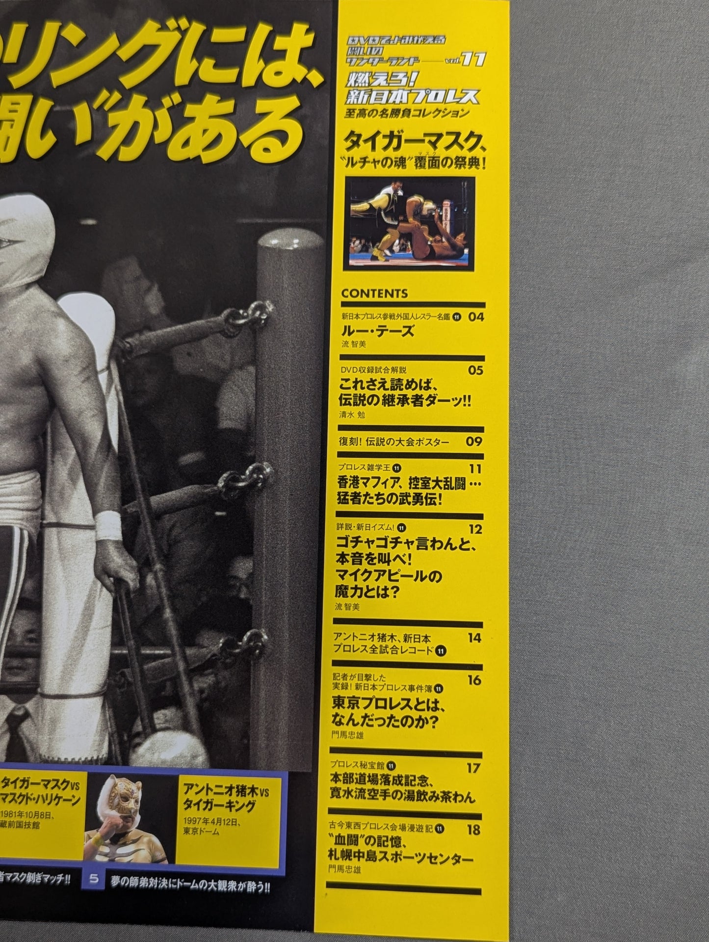 Burn! New Japan Pro Wrestling  vol.11