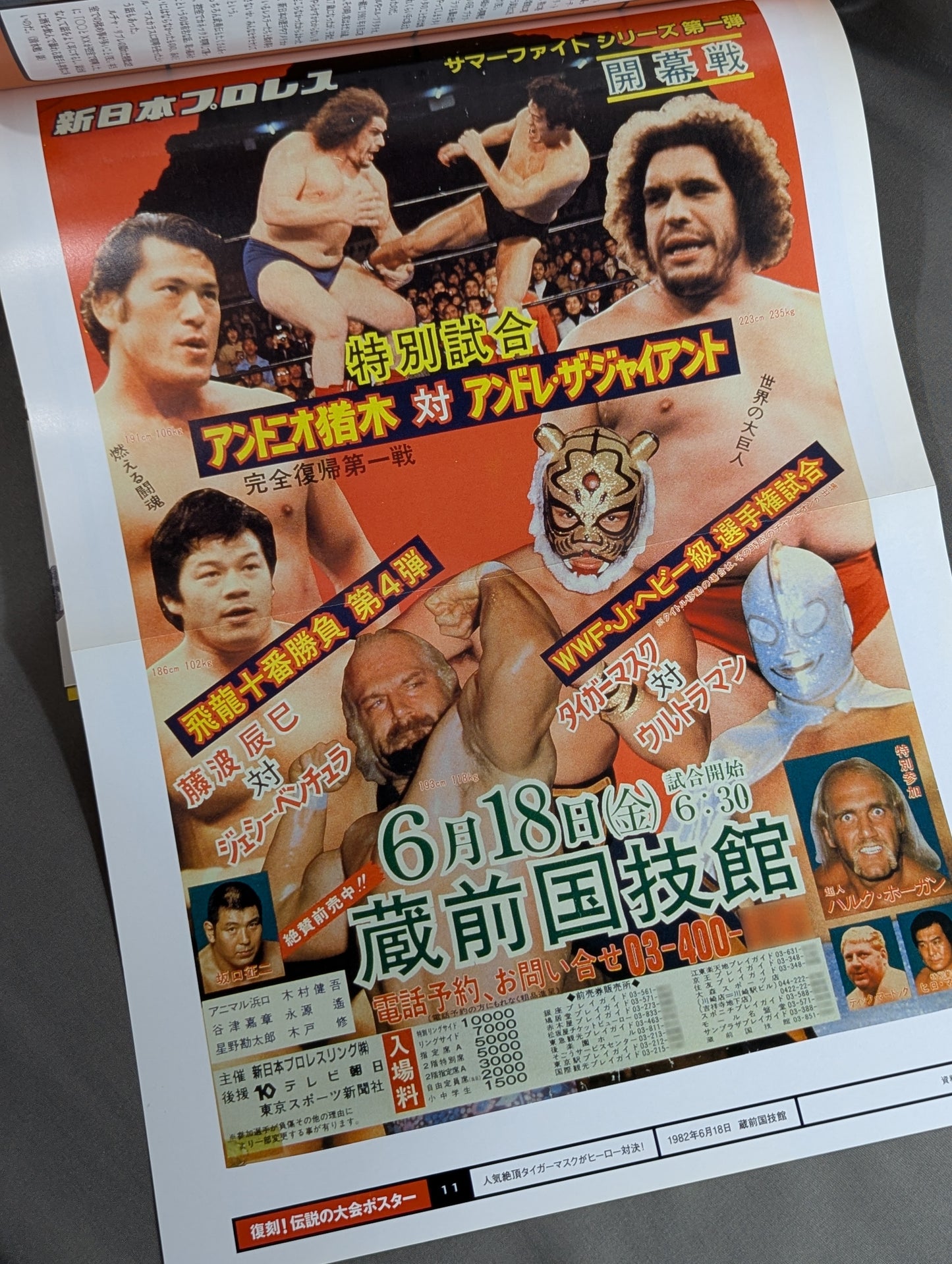 Burn! New Japan Pro Wrestling  vol.11