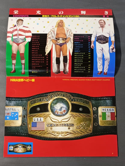 ★実物大★ 栄光の輝き プロレスチャンピオンベルト
