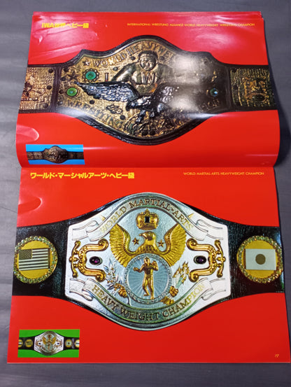 ★実物大★ 栄光の輝き プロレスチャンピオンベルト