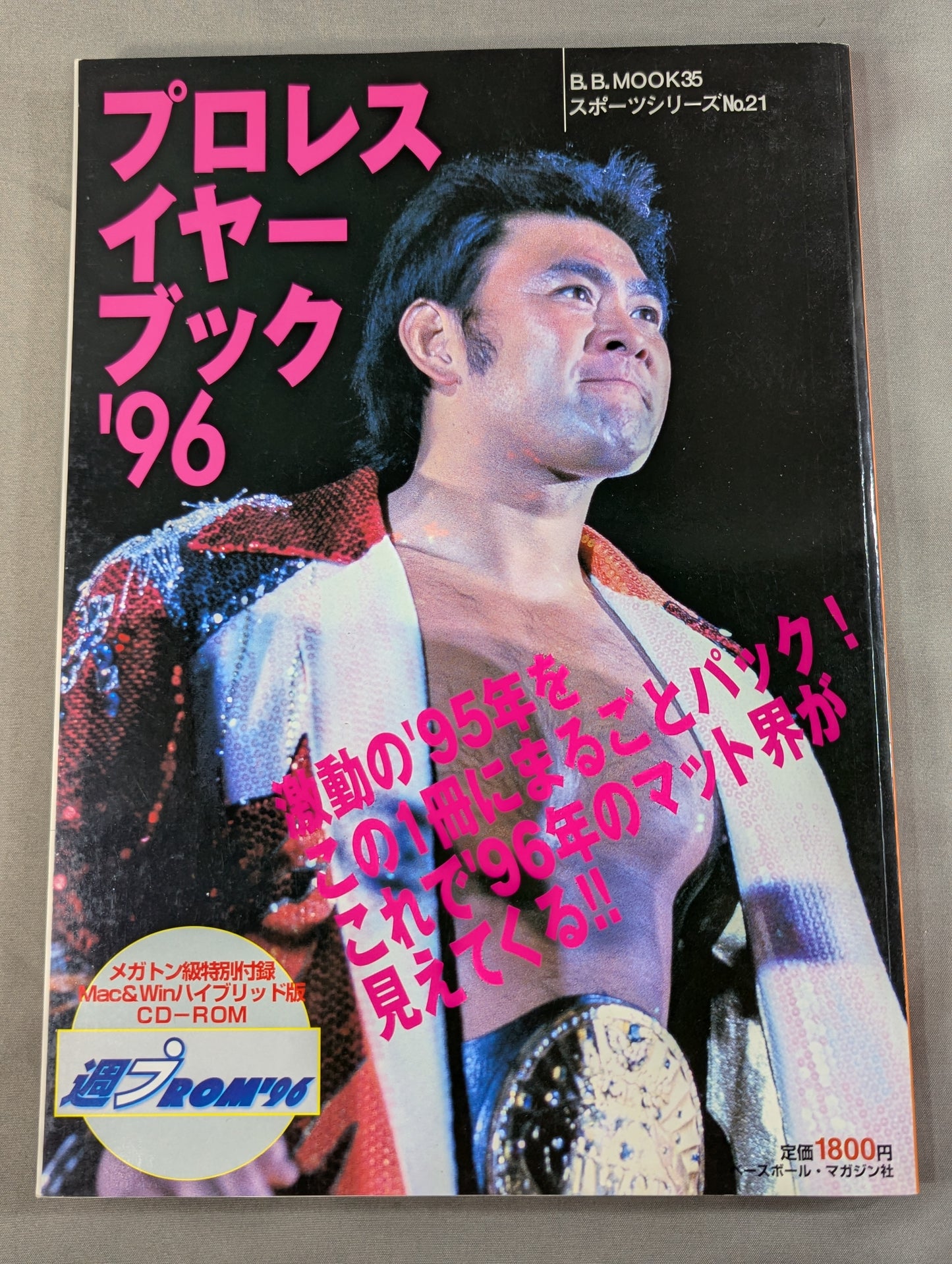 Pro Wrestling Yearbook '96