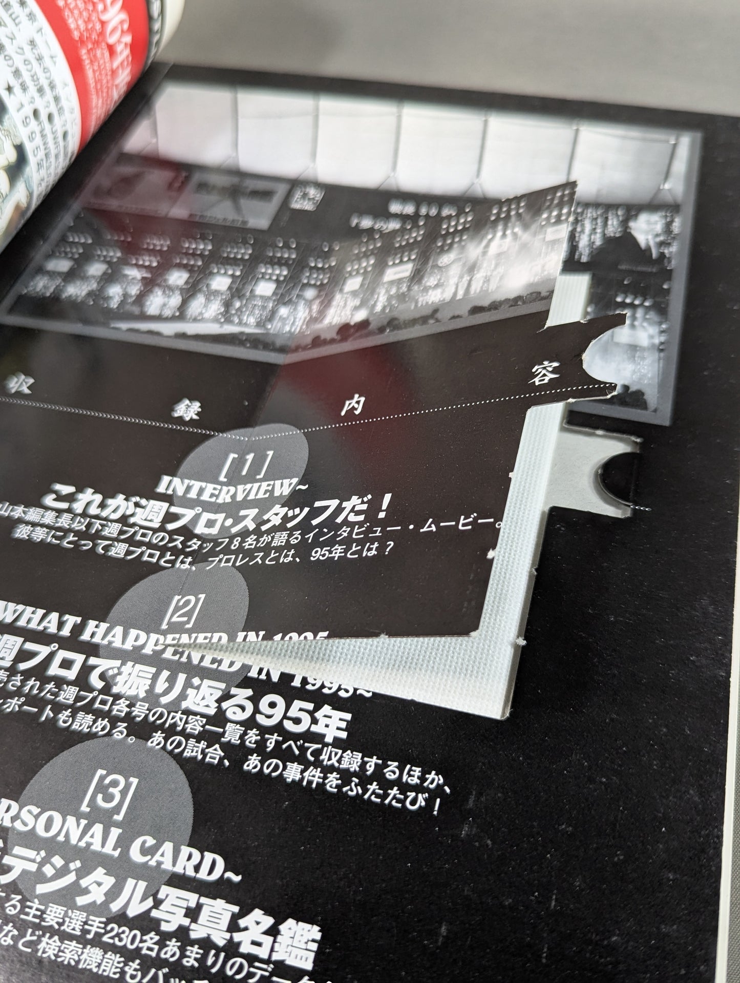 Pro Wrestling Yearbook '96