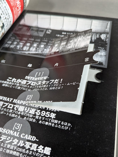 Pro Wrestling Yearbook '96