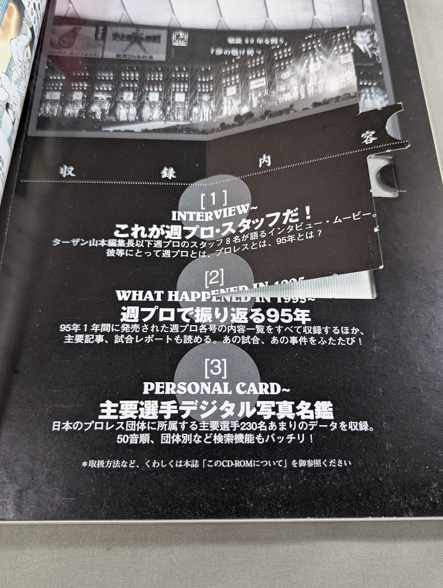 Pro Wrestling Yearbook '96