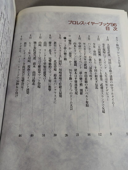 Pro Wrestling Yearbook '96