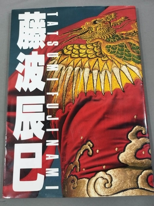 Tatsumi Fujinami  photo 