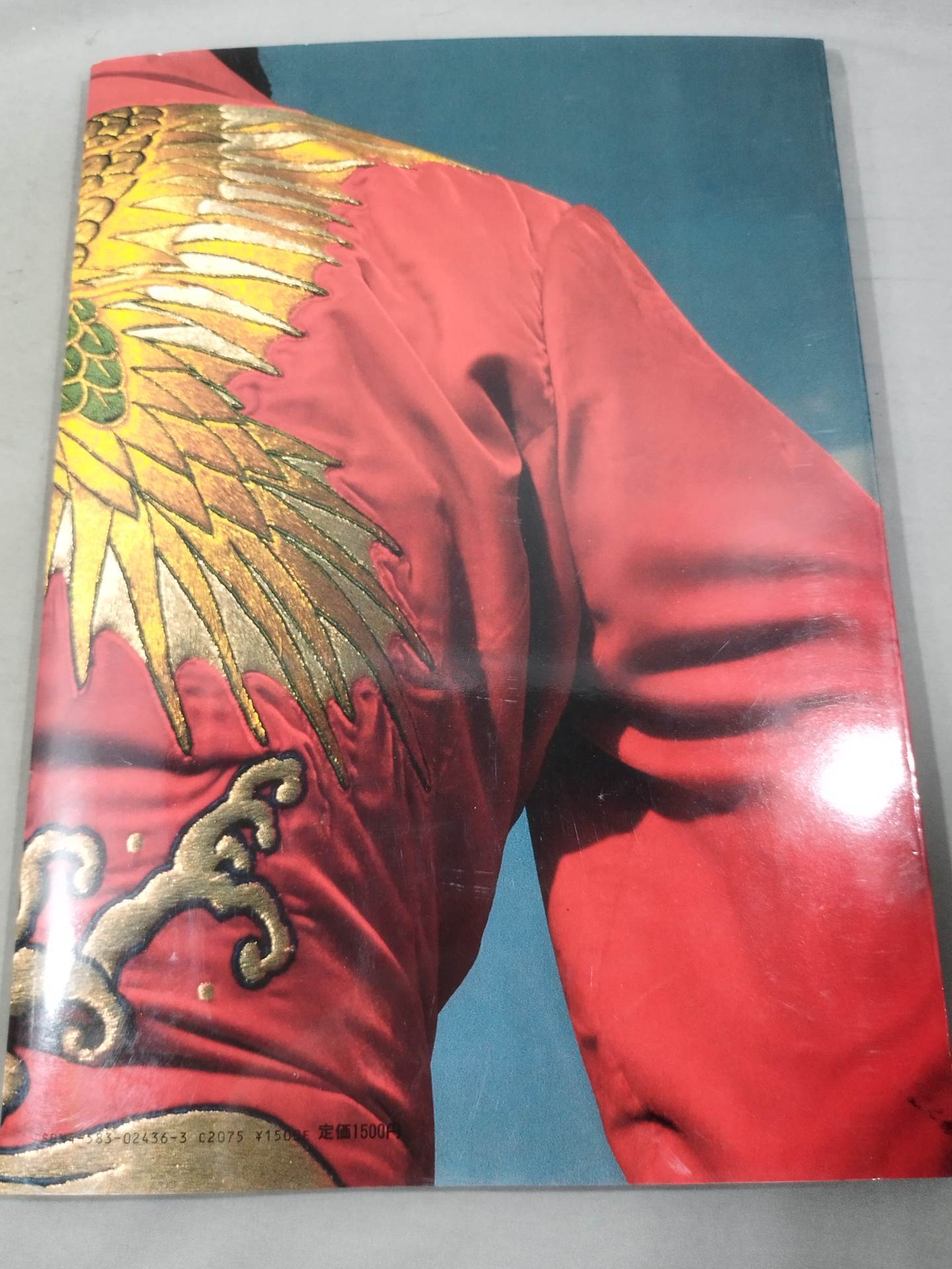 Tatsumi Fujinami  photo 