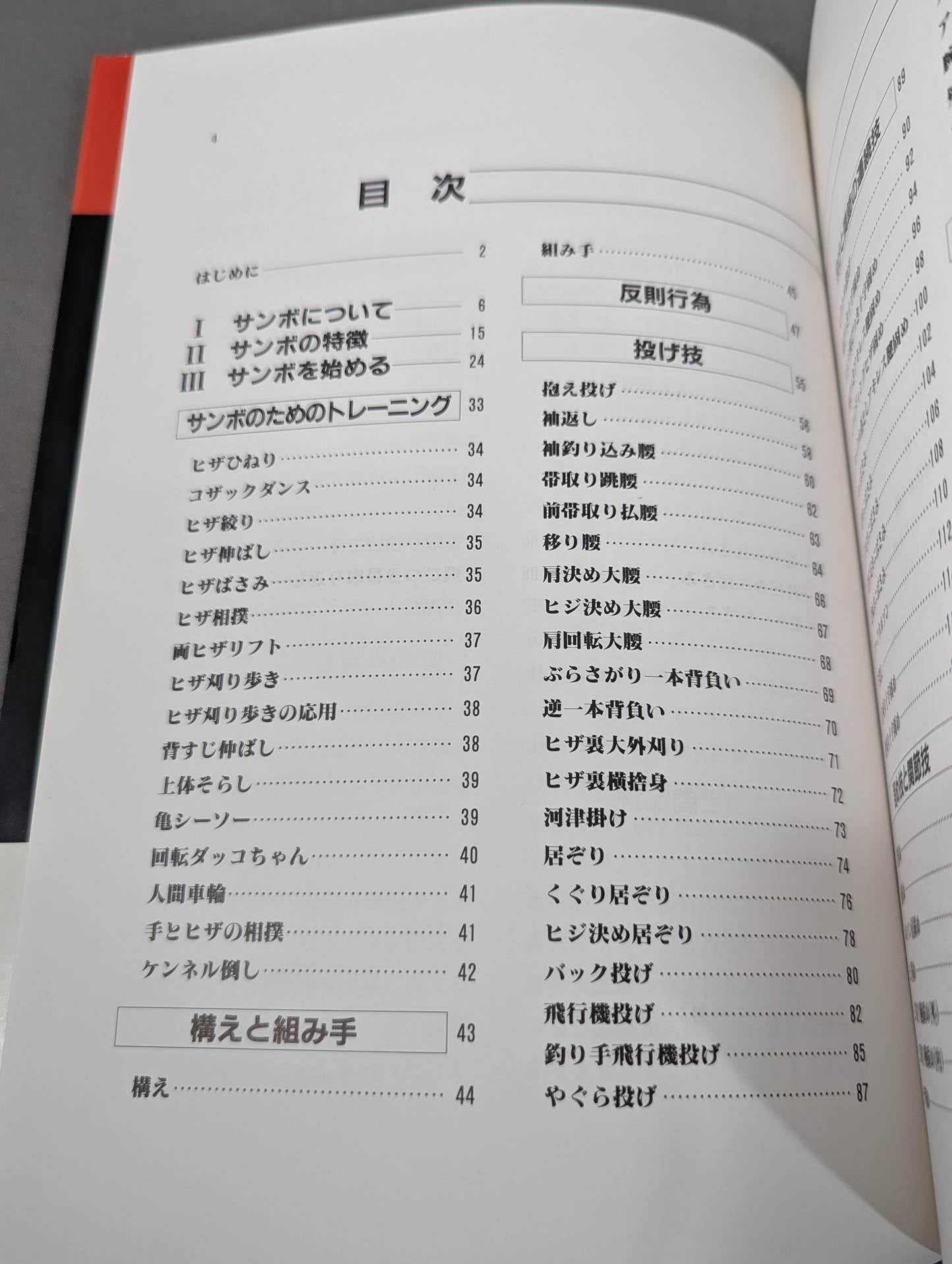 これがサンボだ!