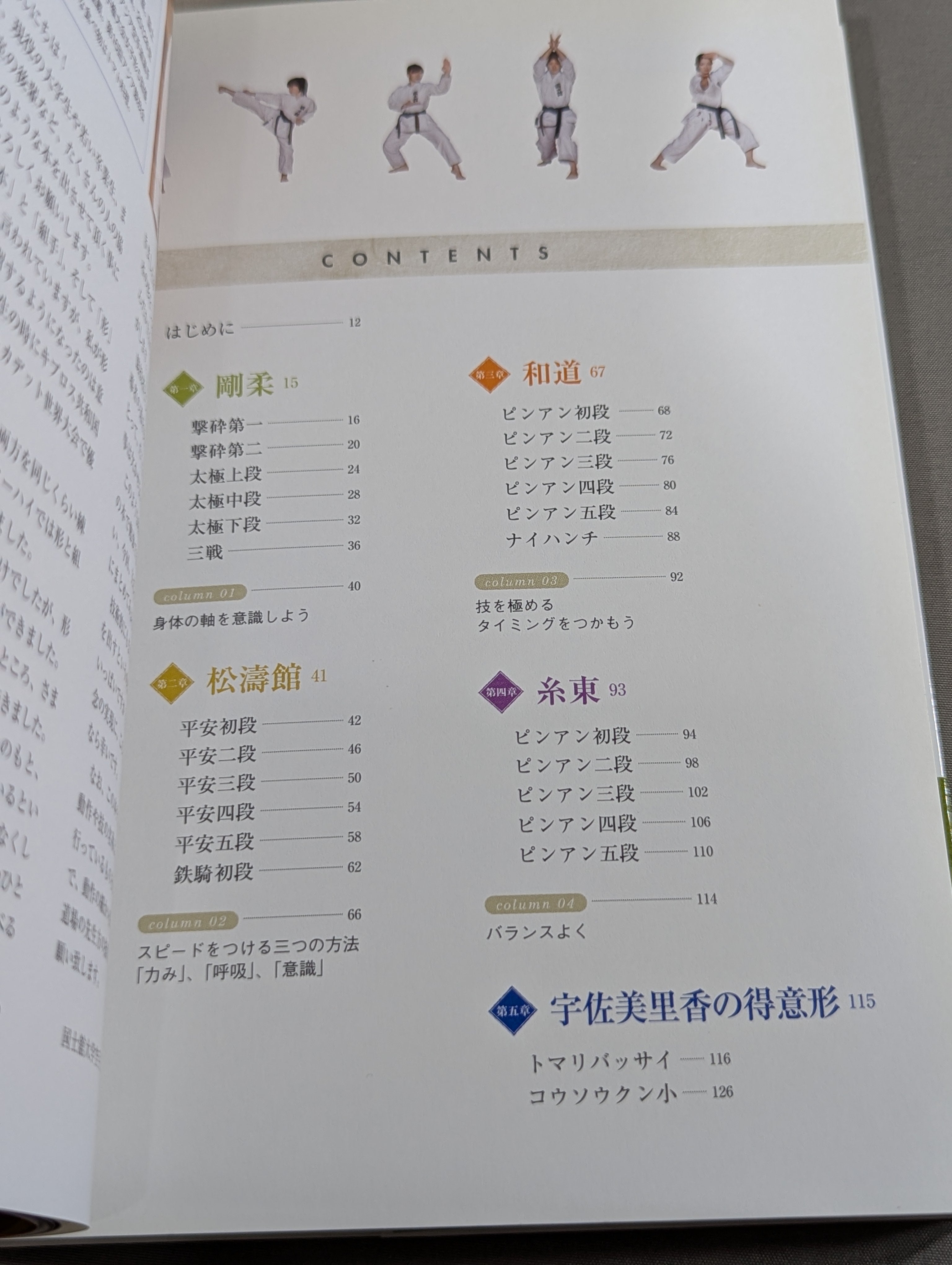 DVD付】DVDでよくわかる! 空手道 四大流派 基本形 – 闘道館