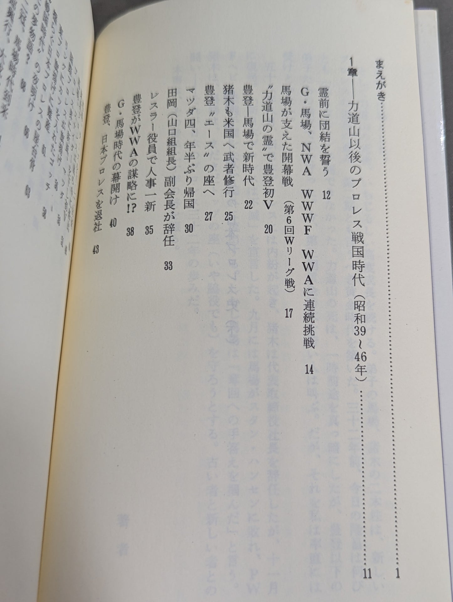 鈴木庄一の日本プロレス史・下 第二期黄金時代