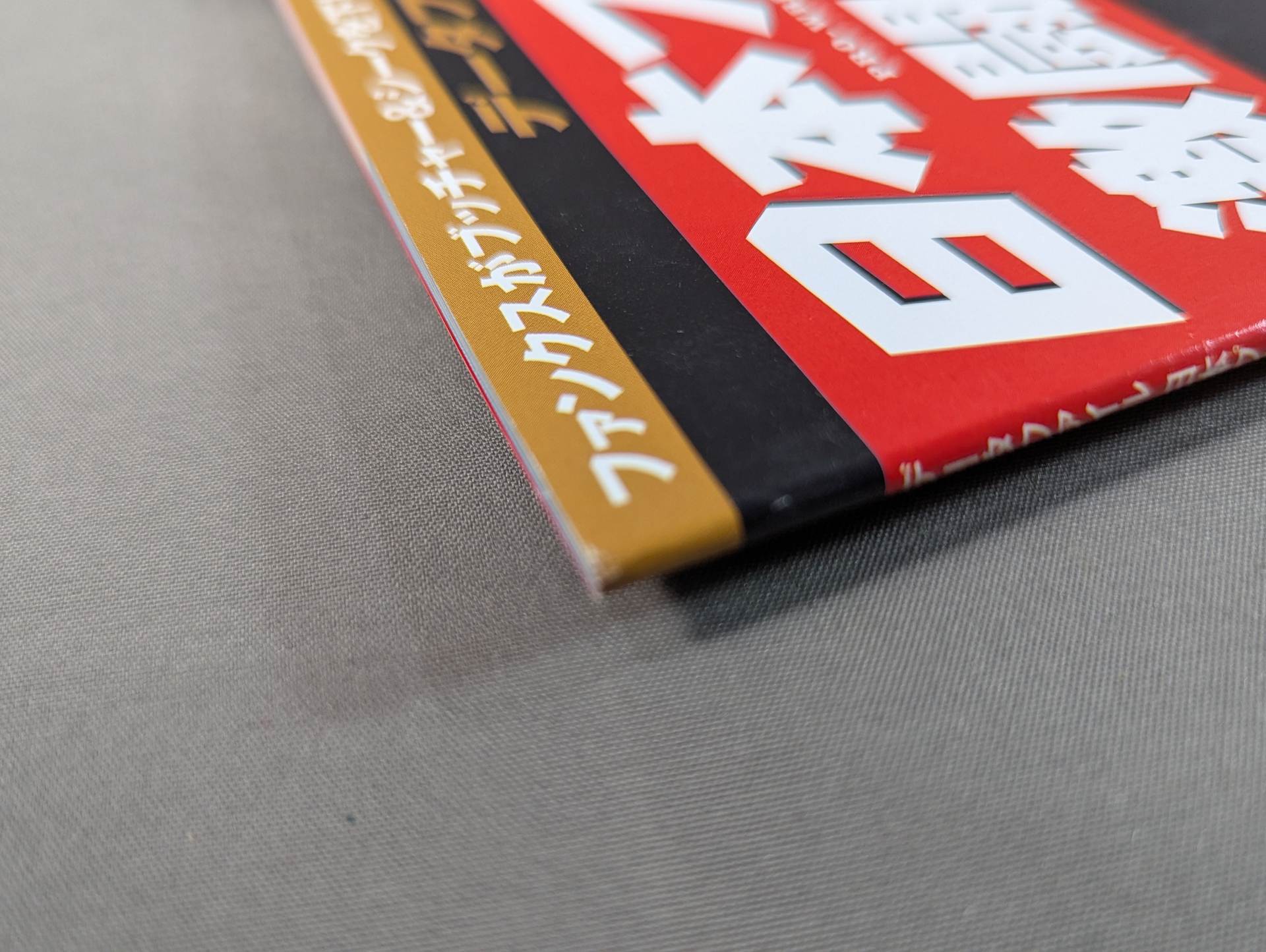 日本プロレス激闘60年史 (10) – 闘道館