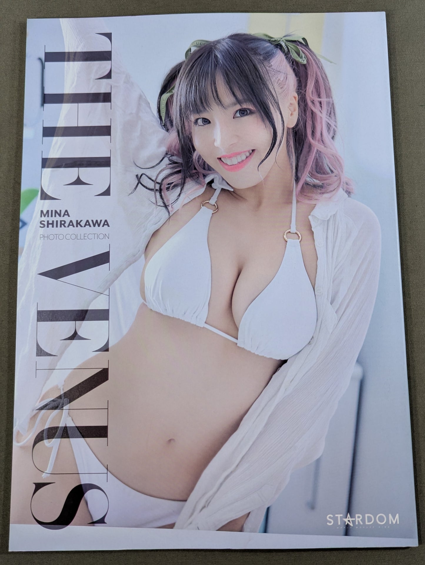 白川未奈 写真集 THE VENUS