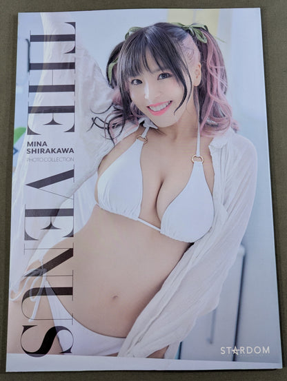 白川未奈 写真集 THE VENUS