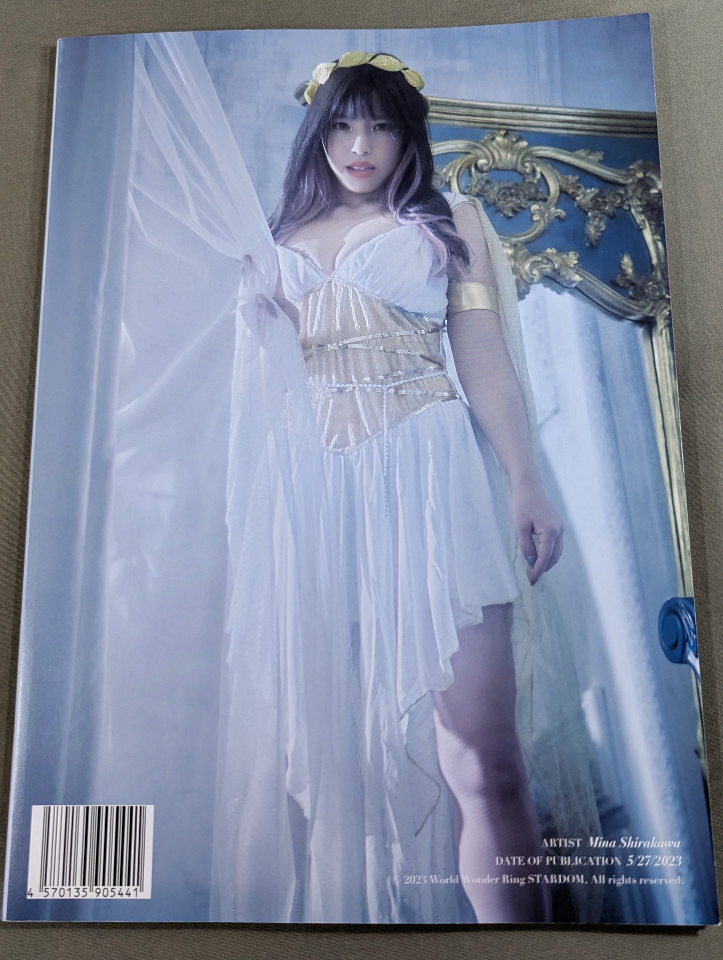 白川未奈 写真集 THE VENUS