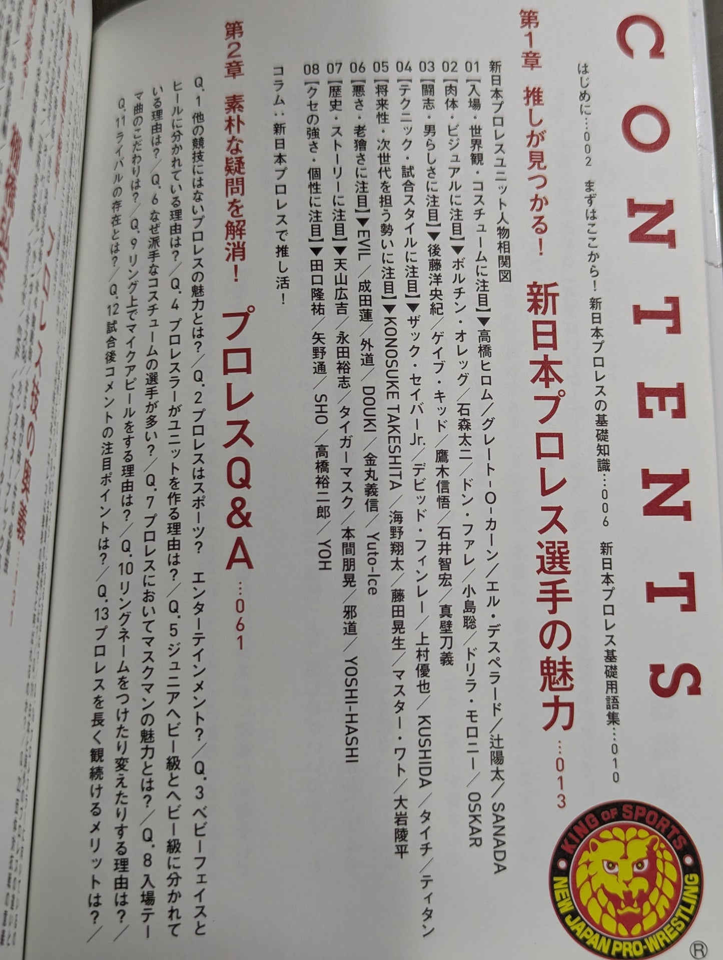 ようこそ、プロレスの世界へ 棚橋弘至のプロレス観戦入門