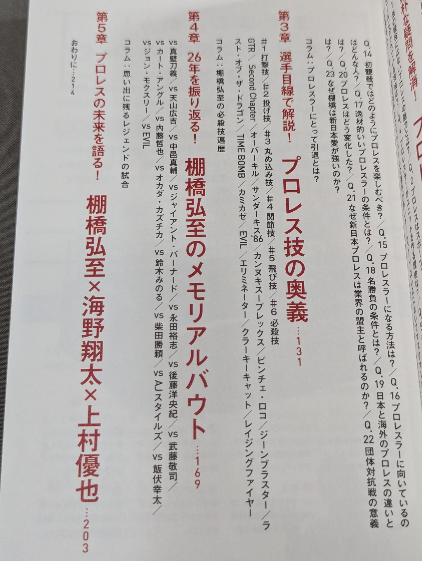 ようこそ、プロレスの世界へ 棚橋弘至のプロレス観戦入門