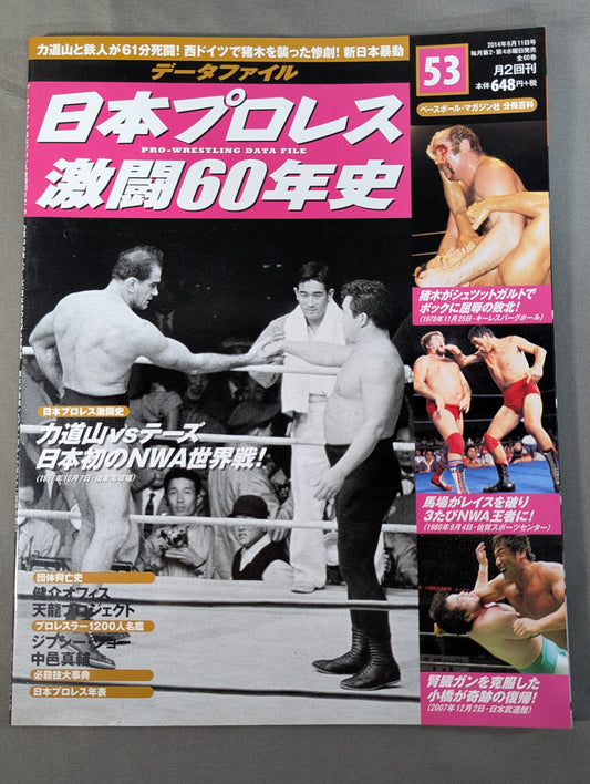 日本プロレス激闘60年史 (53)